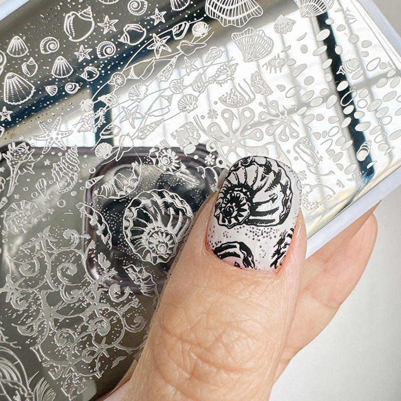 Nail Art Stamping Kit - XMQ Nail ART STAMPING PLATE DESIGNI