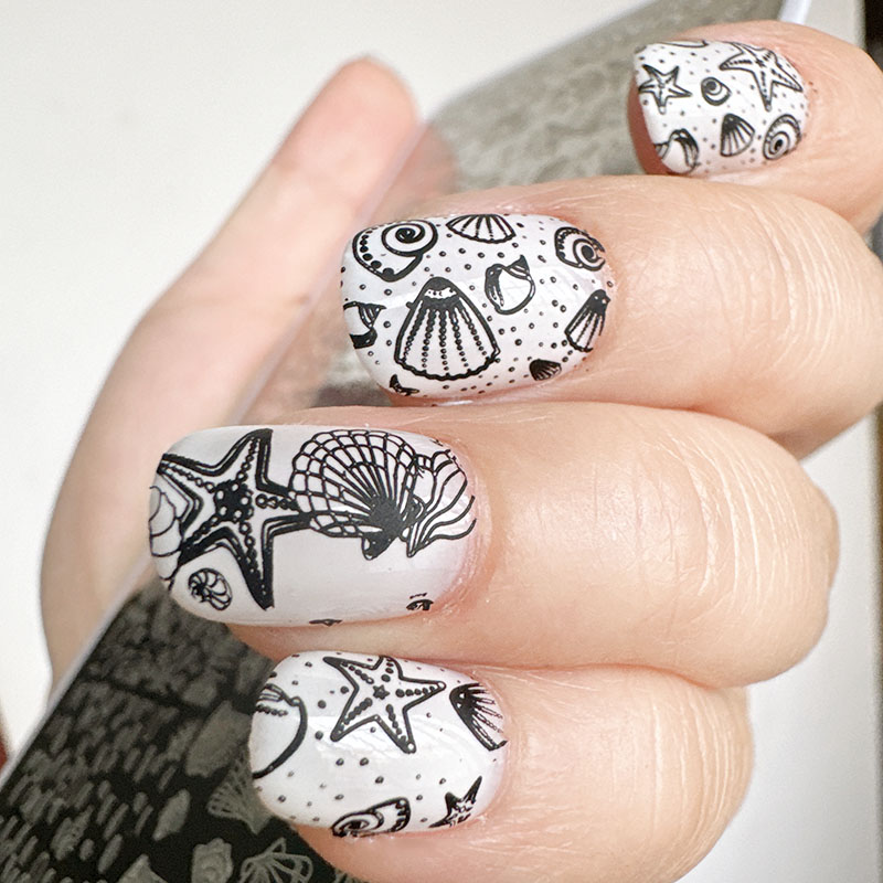 XMQ Nail ART STAMPING PLATE DE - Nail Art Stamping Kit recensione e prezzo